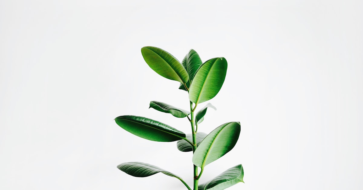 The Vitamin D Deficiency Epidemic: 42% of Adults Are Unknowingly Deficient